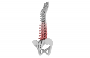 spinal protection of nervous system