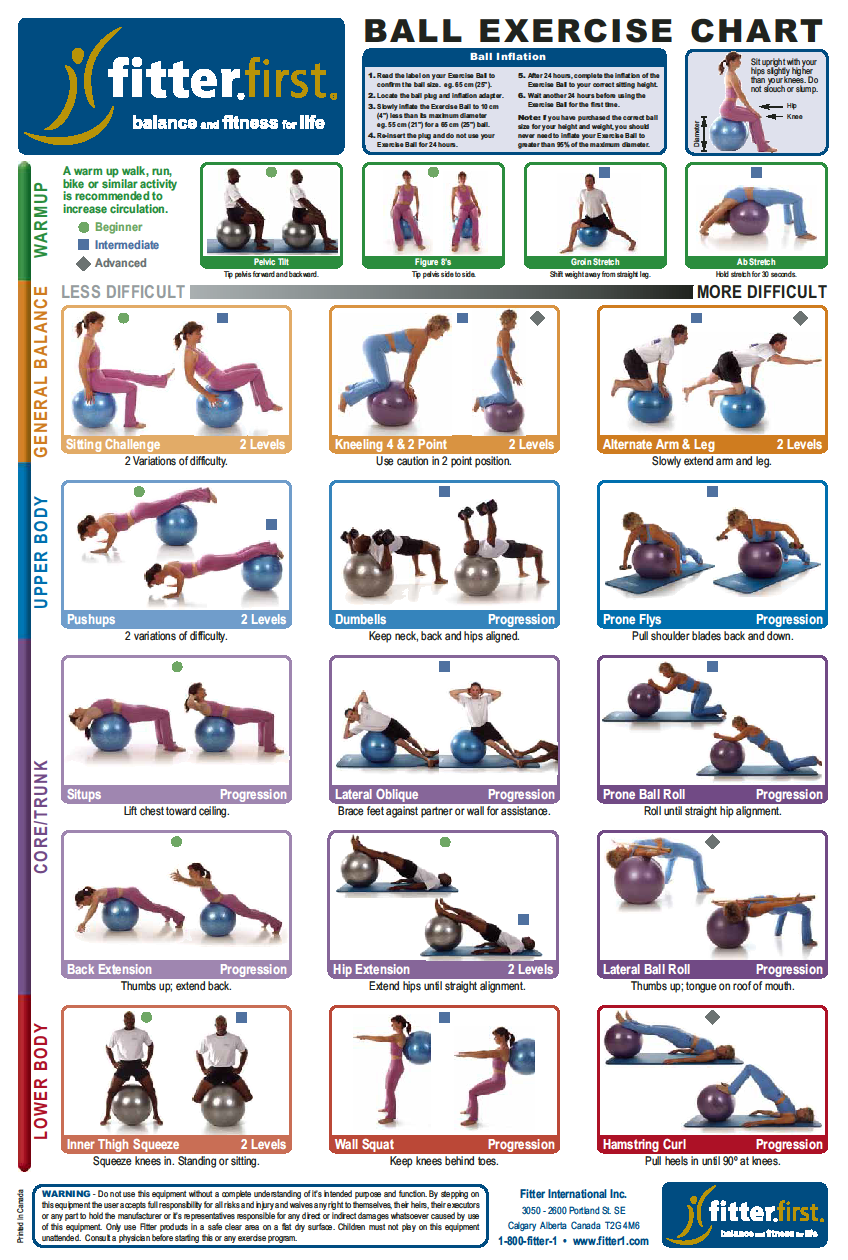 exercise ball leg exercise chart