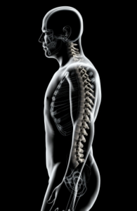chiropractic-spinal-adjustment
